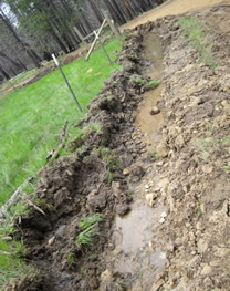 Huge ditch found at Upper Femmons meadow