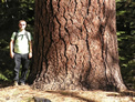 Yosemite