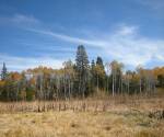 Bell Meadow Fall