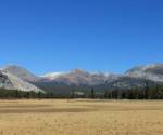 Tuolumne Meadows