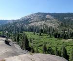 Bell Meadow