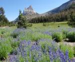 Cathedral Peak