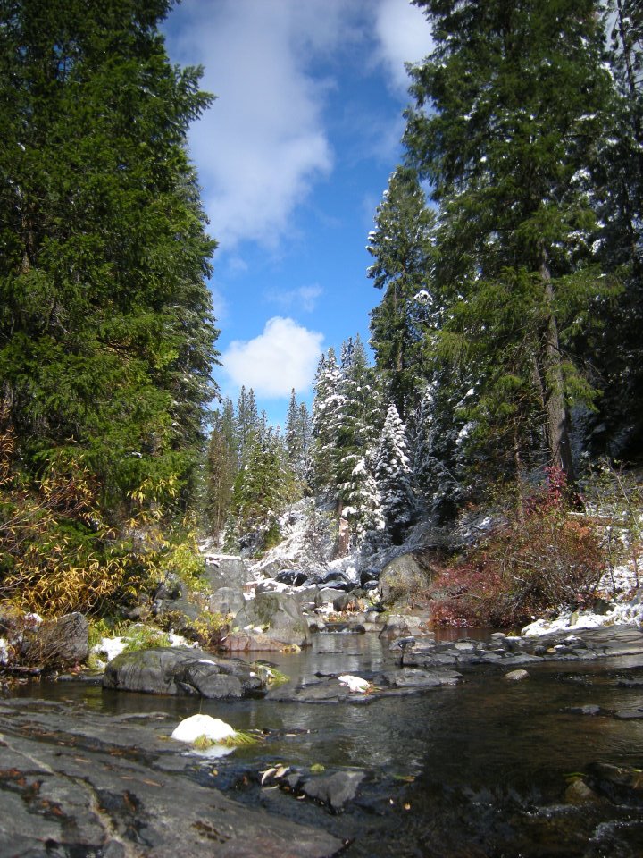 South Fork Tuolumne River