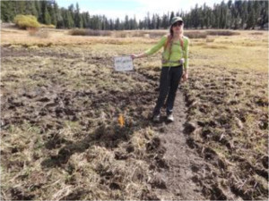 Successes 2014 H20 Sample