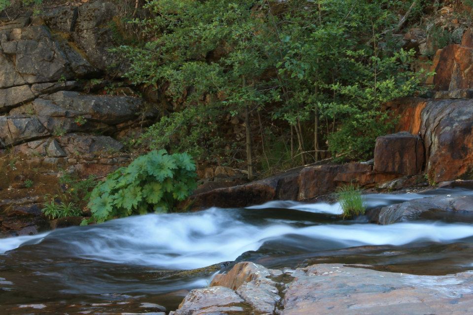 Clavey River below God's Bath