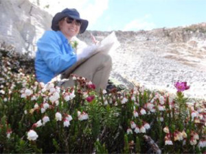 surveying for wildlife in Yosemite