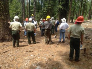 Working with the collaborative group Yosemite Stanislaus Solutions. 