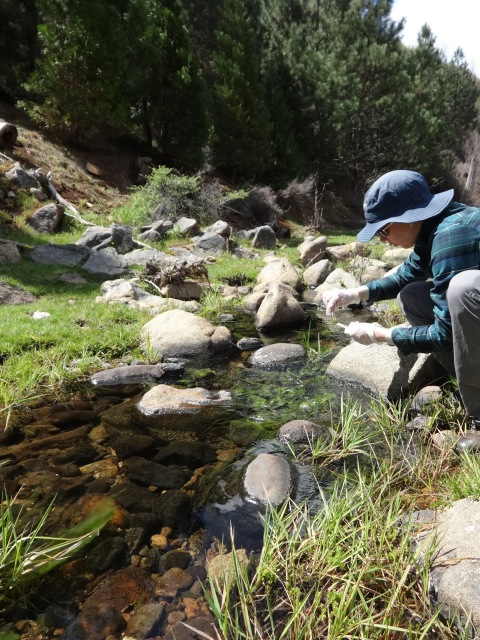 Bell Creek Bell Meadow Water sampling