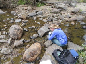 Bell Creek Bell Meadow Water sampling