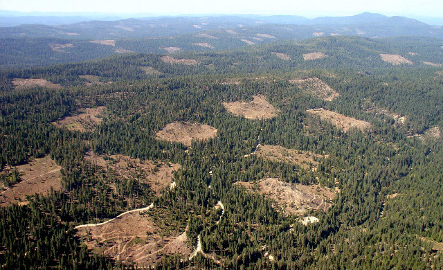 Blue Creek Watershed north of Highway 4