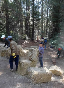 CSERC Recent Successes