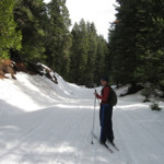 Cross-country Ski Off Herring Creek Road