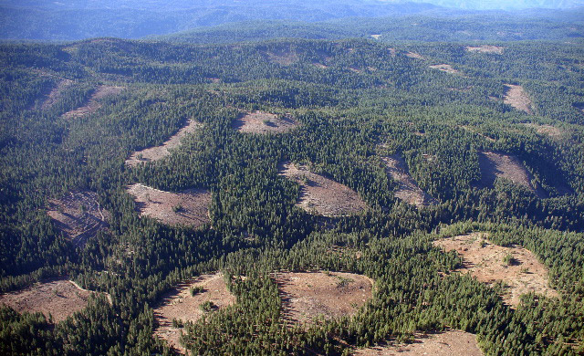 South Fork of the Mokelumne watershed (Note: visual group retention patches) 
