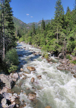 Stream - Watersheds at Risk