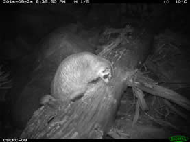 Successes 2014 Badger