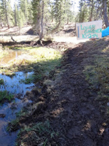 Successes 2014 Meadows