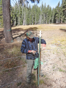 Successes 2014 Volunteer