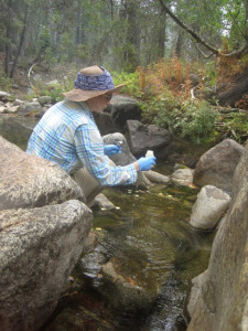 Successes 2014 H20 Sample