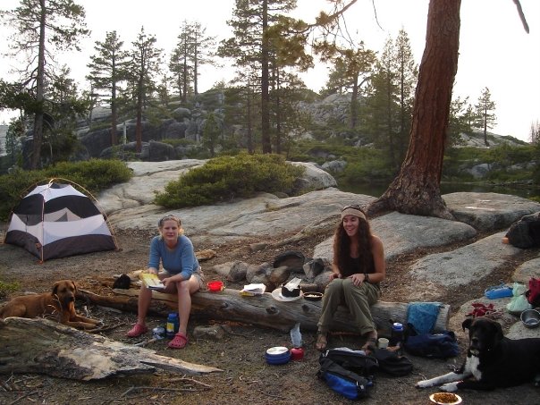 Campers in the forest