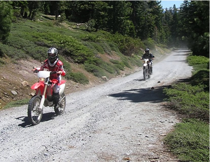 Dirt Bikes in the Forest