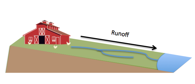 agricultural runoff diagram