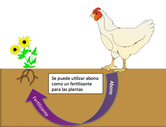 chickendiagram