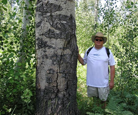 Hiking Through Aspen in Bell Meadow