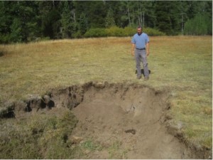 Meadow Damage from Livestock