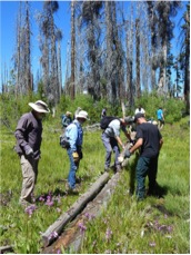 Volunteers at Chain Lakes