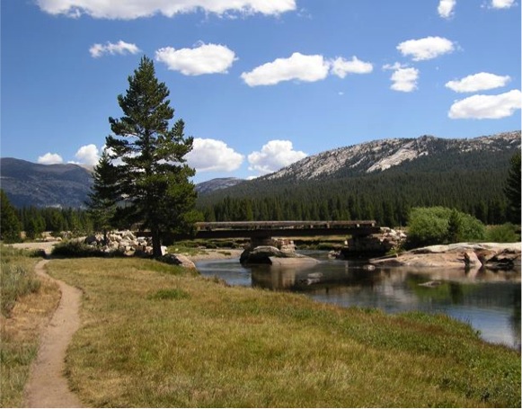 Tuolumne Meadows