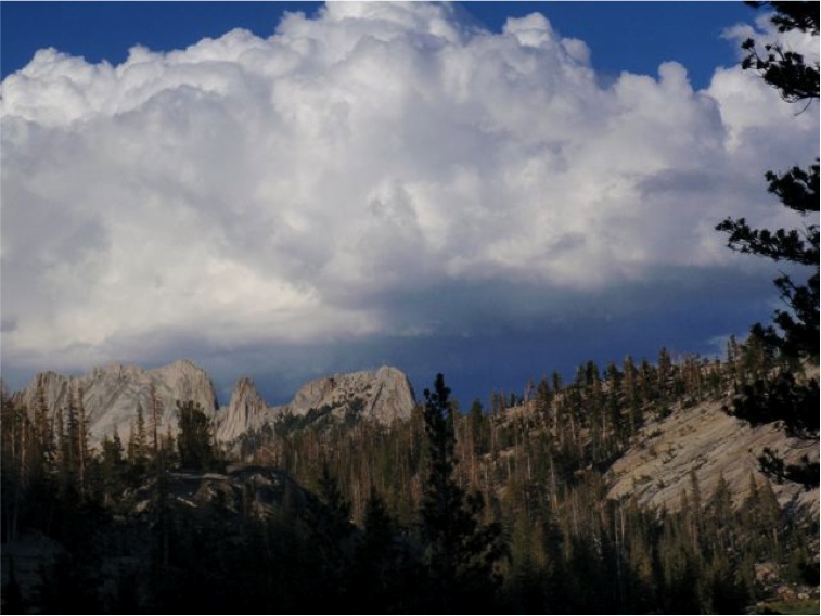 Ahhh … Summer in the mountains …