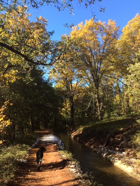 Tuolumne ditch canal