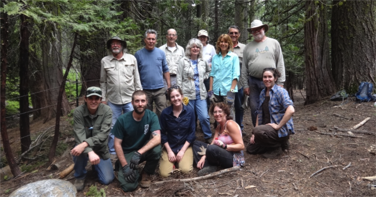Volunteer meadow fencing