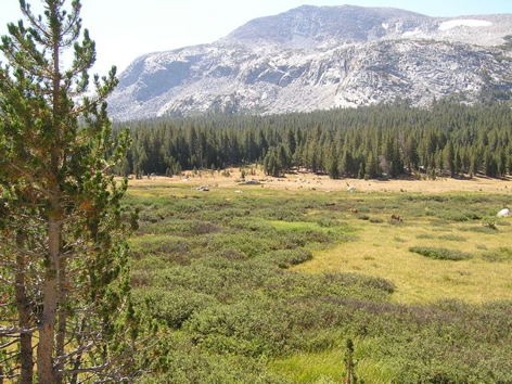 Yosemite solicita comentarios del público acerca de cómo administrar