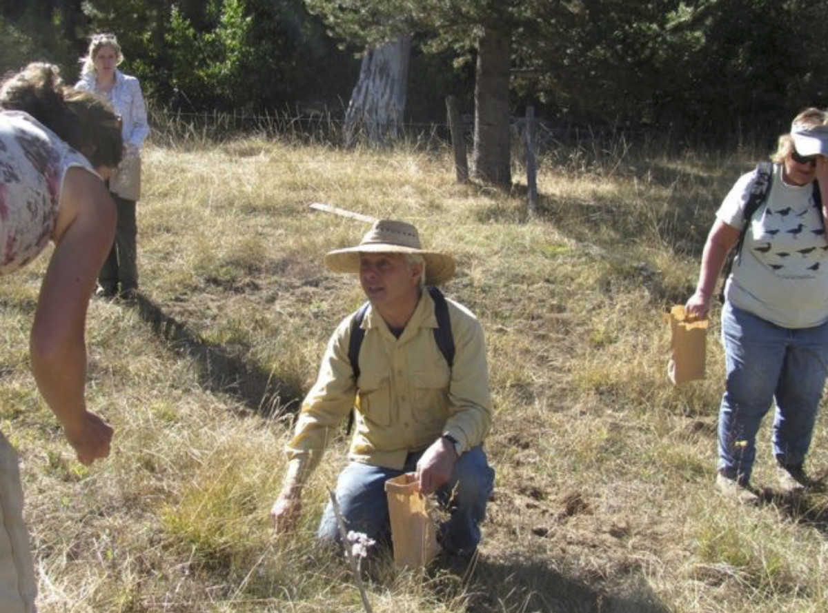 volunteer seed collection