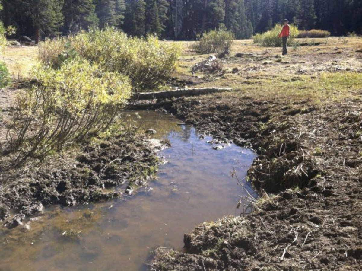 stream water quality