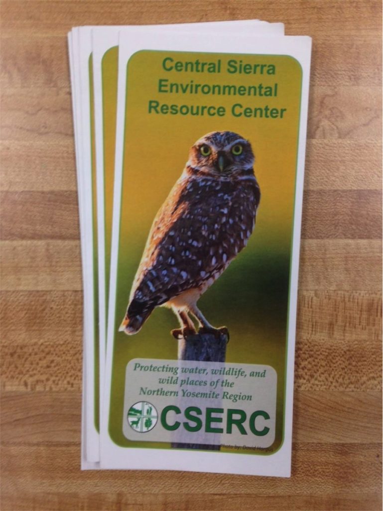 cserc brochure