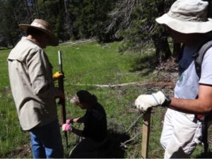 volunteer fence repair