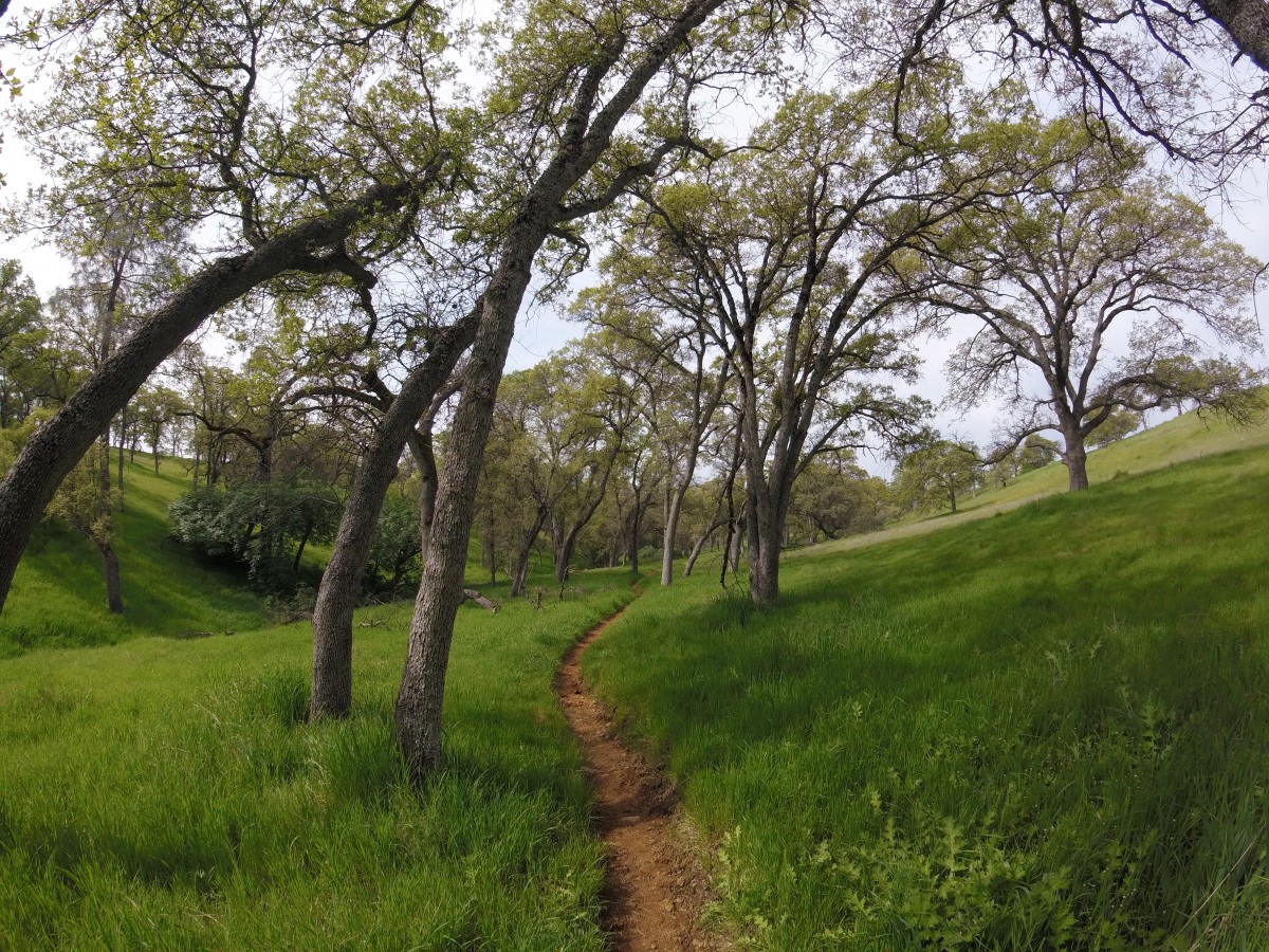 preston falls trail