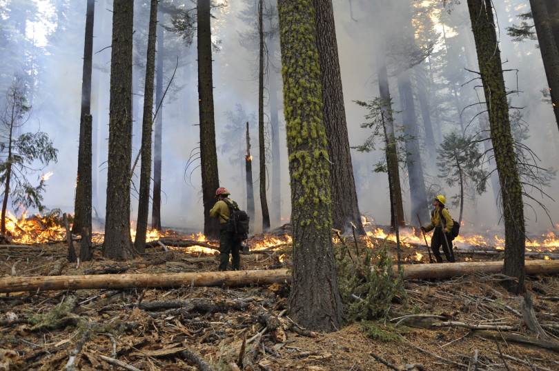 Prescribed Fire- photo from East Bay Times