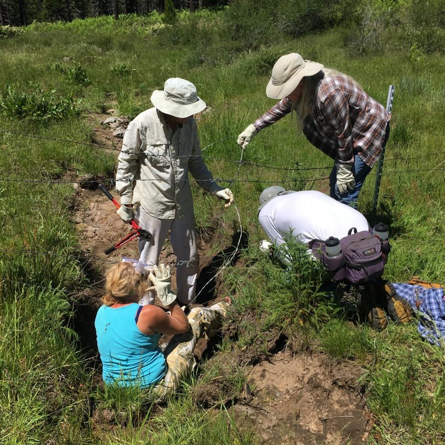 fencing at Long John Meadow