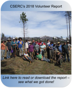 2018 volunteer report cover image