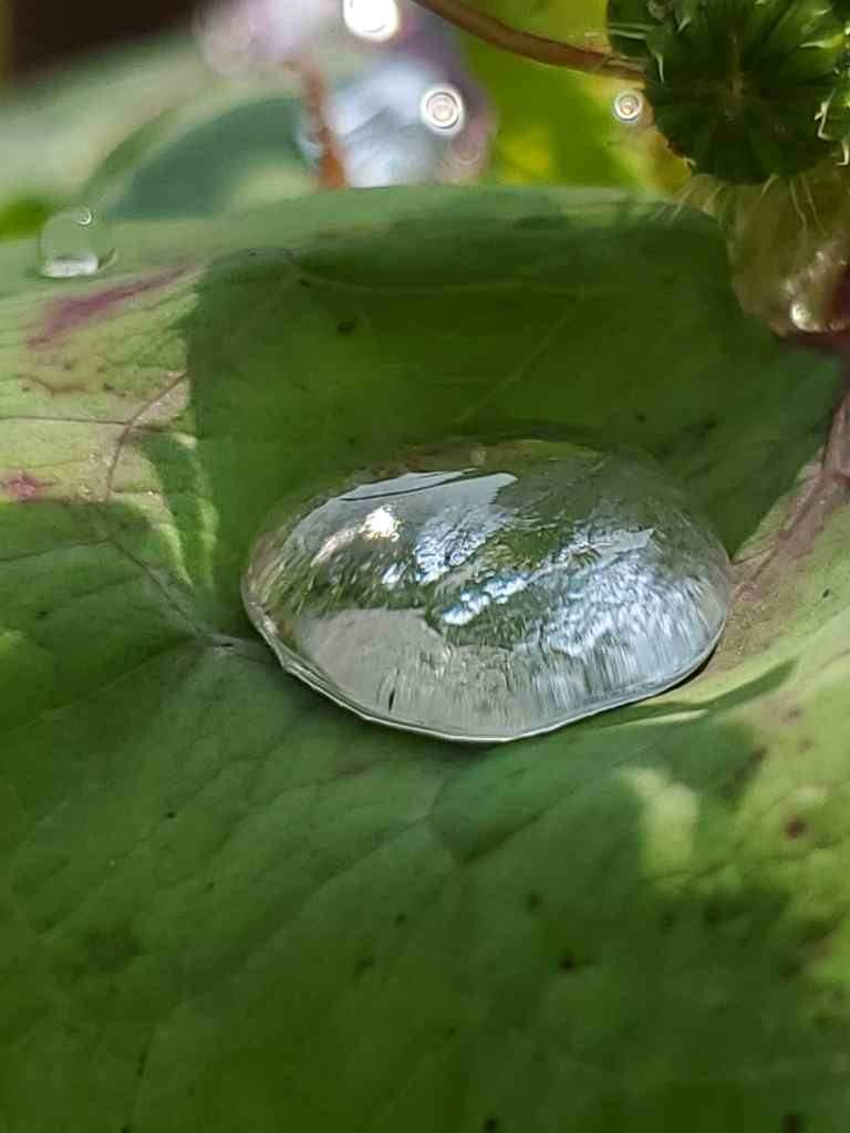 Emma Hiller – Raindrop – 1st Prize