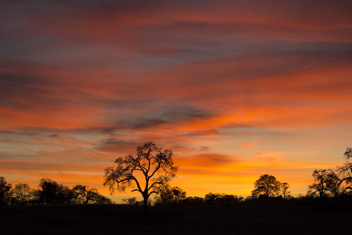 Peggy Edwards – Sunset Foothills Tuolumne County – Honorable mention