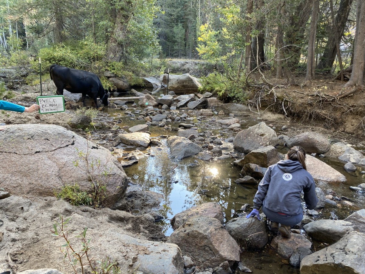 water quality testing