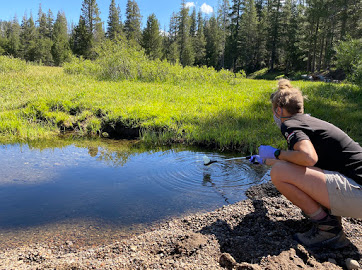 Collecting a Water Sample