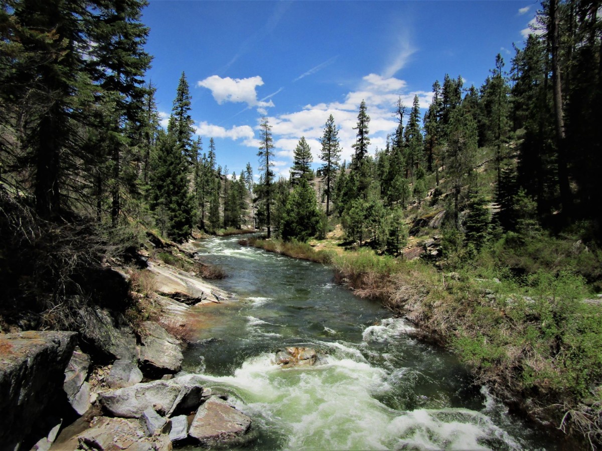 El Río Clavey Silvestre