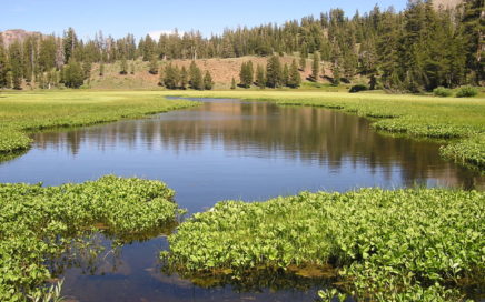 mountain wetland