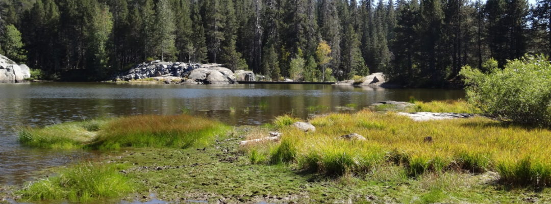 Anna Roberts_Herring Creek Dam