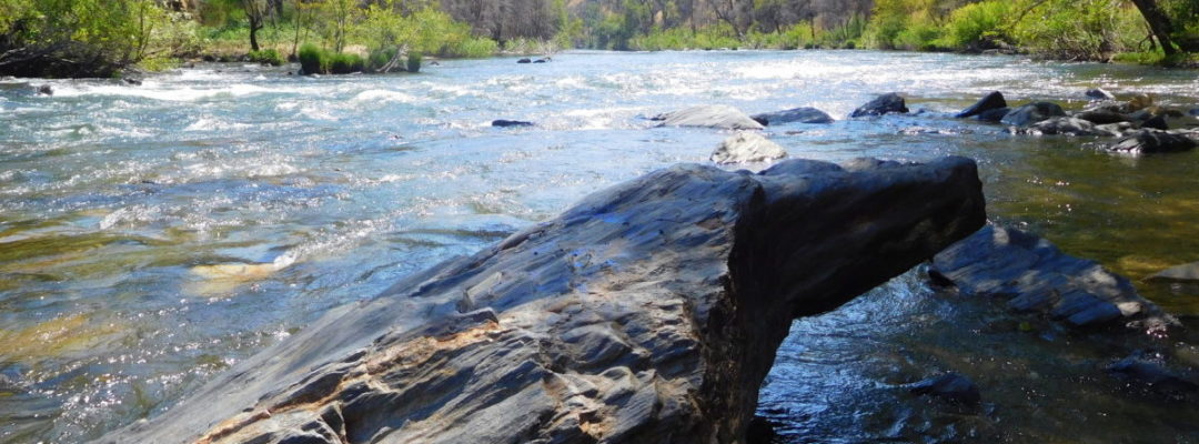 Blair Hake - Mokelumne River